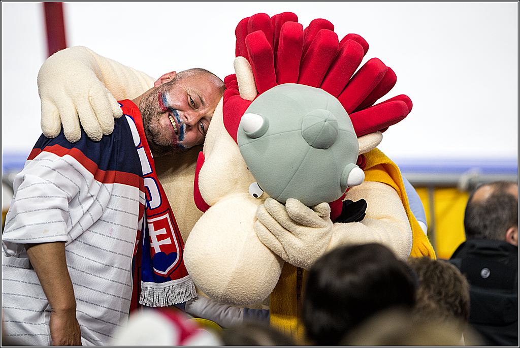 IIHF WM 2017, Daenemark - Schweden, 14.05.2017